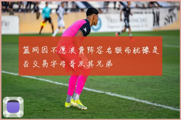 篮网因不愿浪费阵容名额而犹豫是否交易字母哥及其兄弟